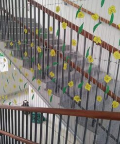 cáp an toàn trường mầm non